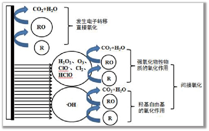 1719555393698091.jpg 1719555393698091.jpg